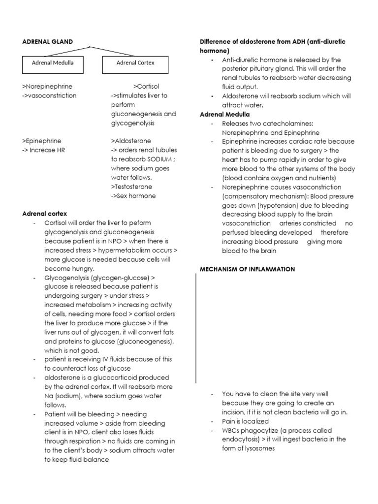 MSN Notes | PDF