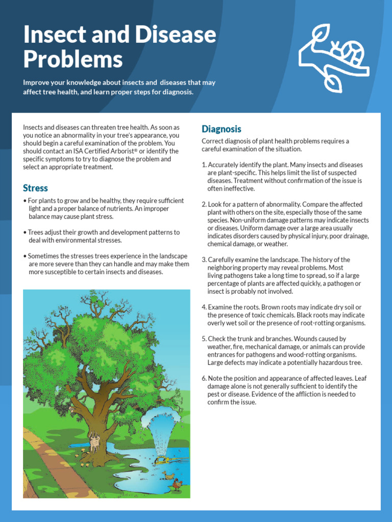 TreesAreGood - Insect Disease Problems | PDF
