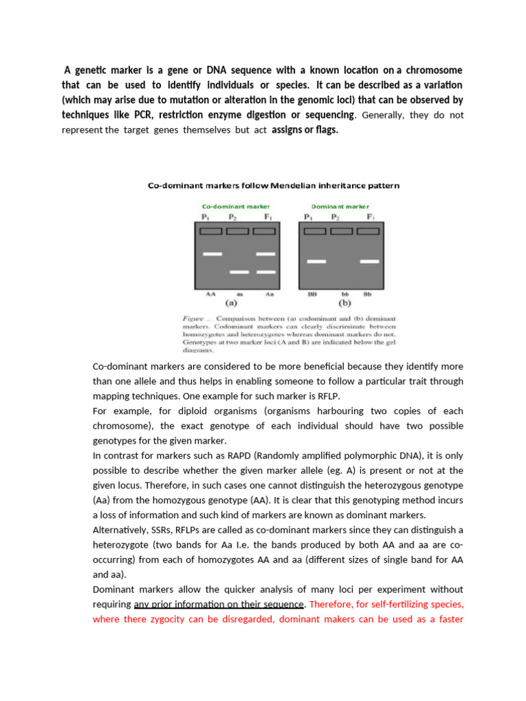 Understanding Genetic Markers: RFLP, RAPD, AFLP | PDF | Zygosity ...