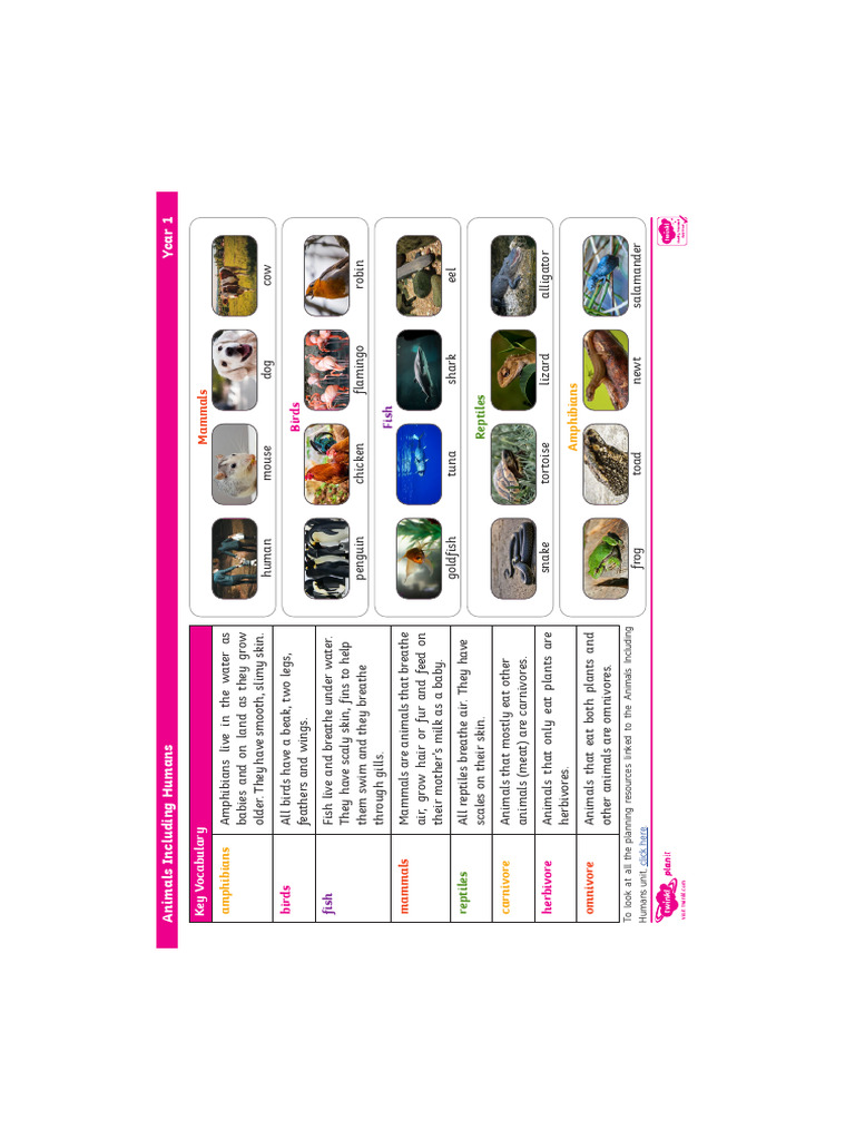 Animals Including Humans | PDF