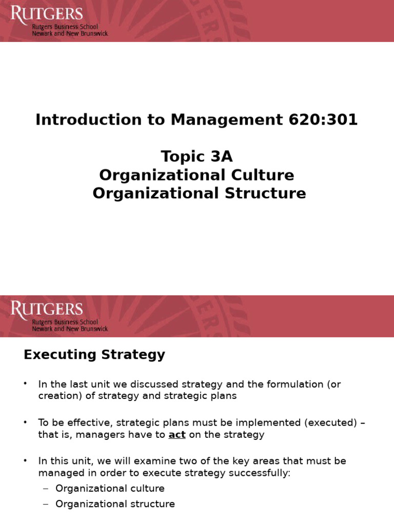 Topic 3A Organizational Culture | PDF