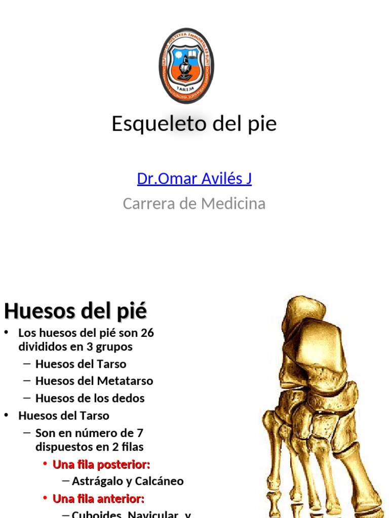 Esqueleto Del Pie | PDF
