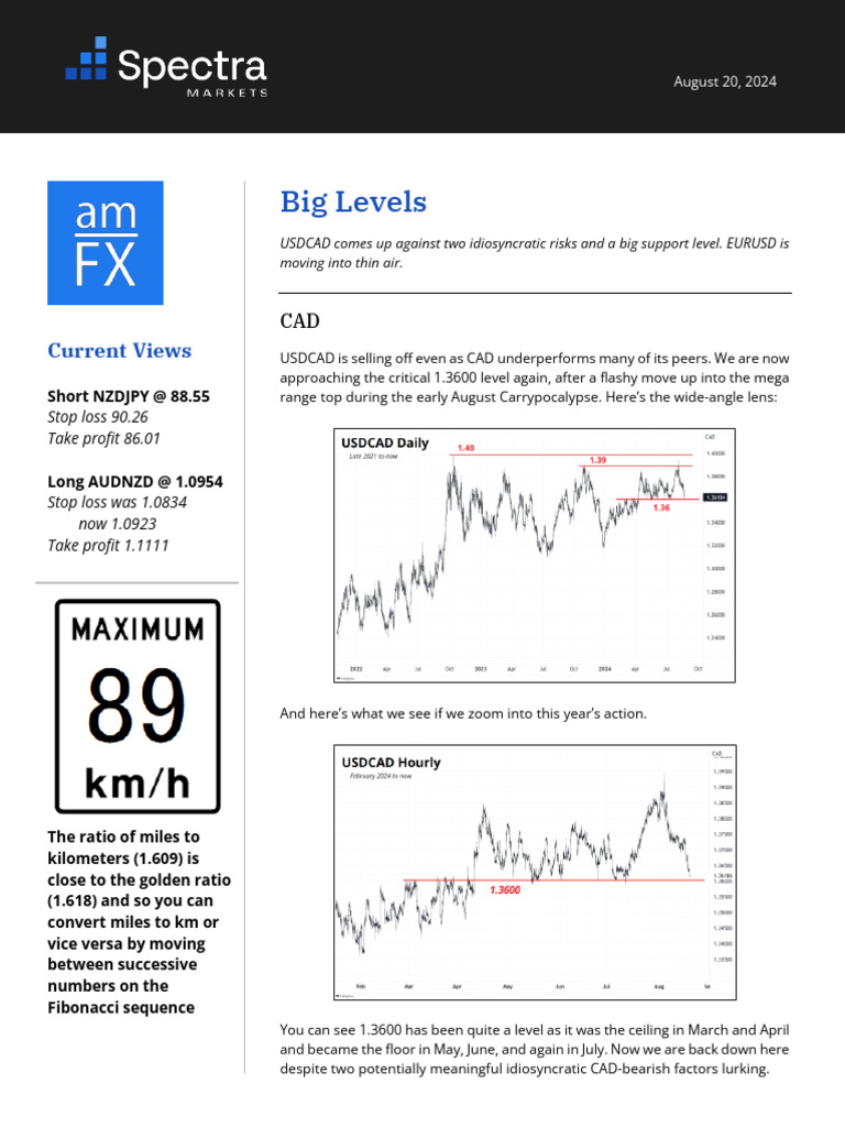 AMFX Into Thin Air 20AUG24 | PDF