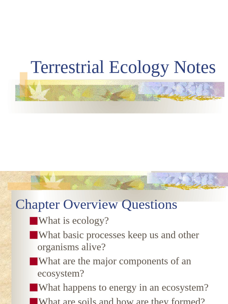 Terrestrial Ecology Notes1 | PDF