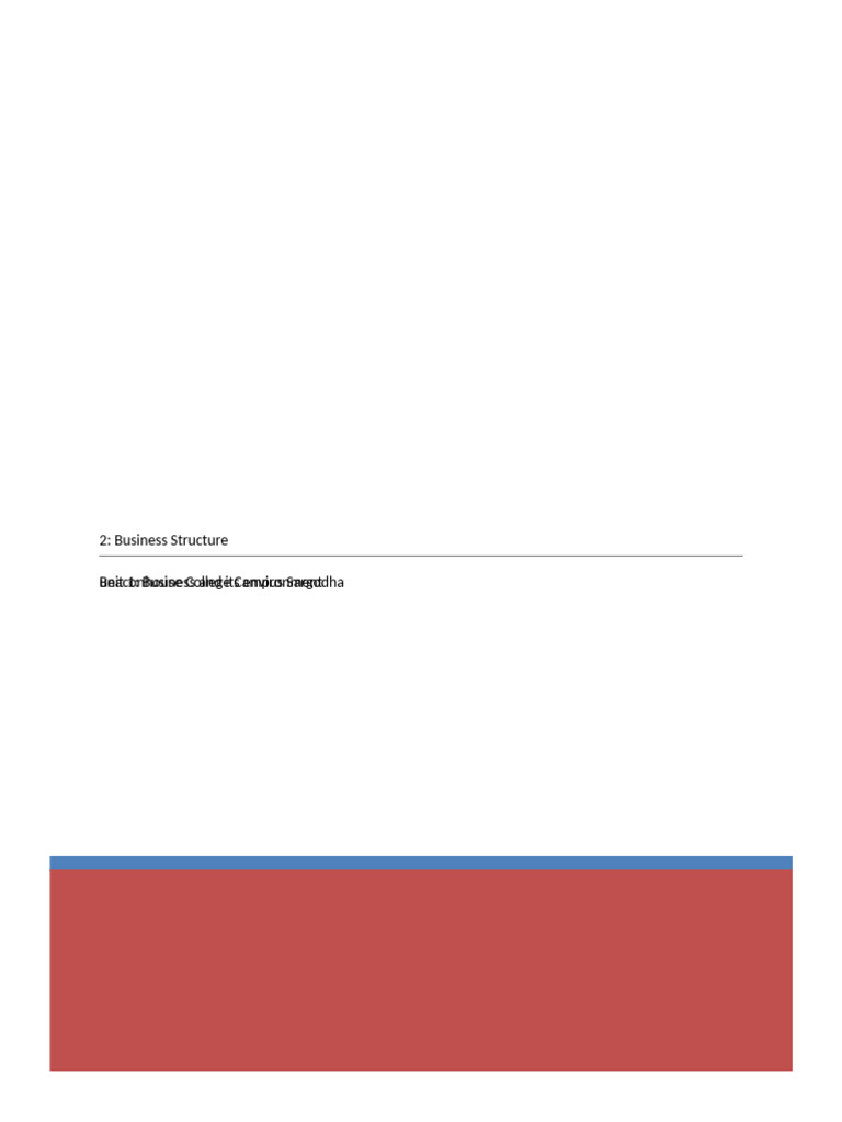 Chapter 2 Business Structure | PDF
