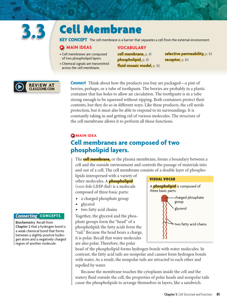 3.3 Cell Membrane | PDF