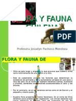 Flora y Fauna Chilena
