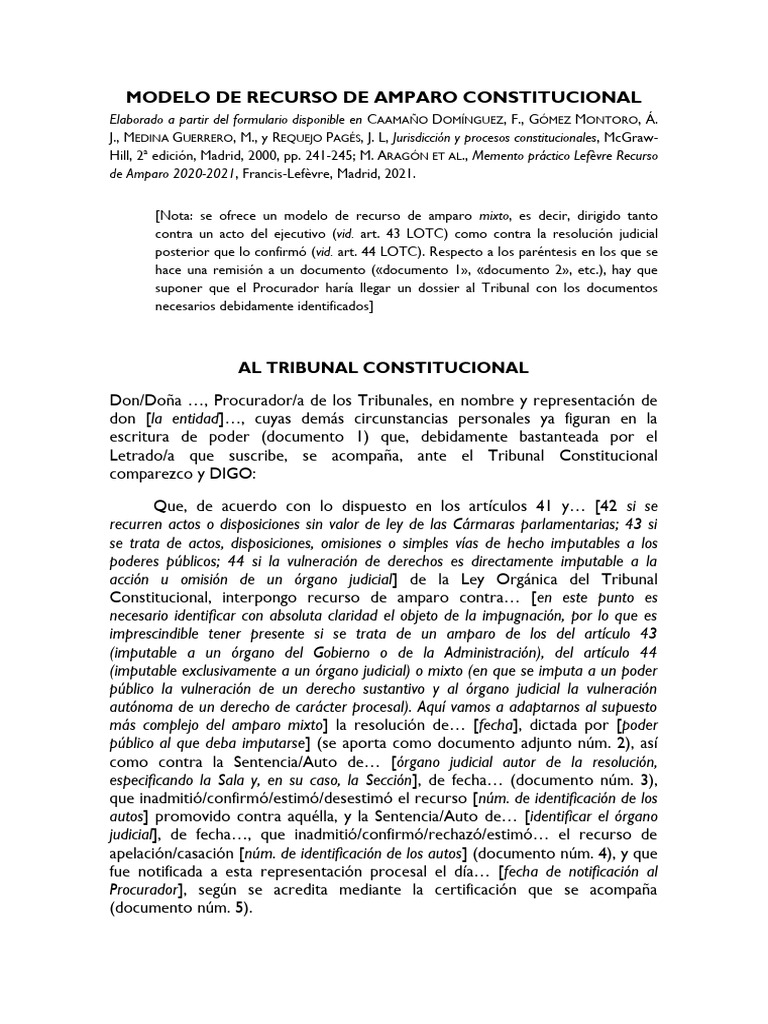 Plantilla Del Recurso de Amparo | PDF