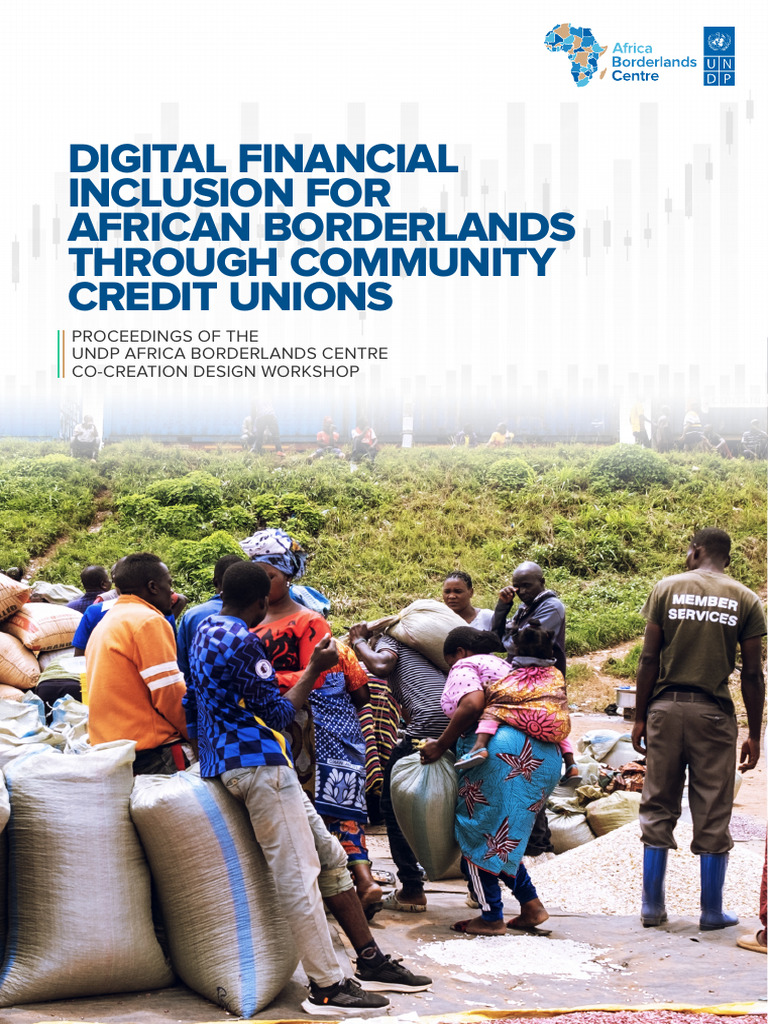 Digital Financial Inclusion For African Borderlands | PDF