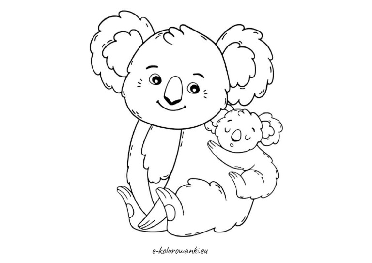 Koala | PDF