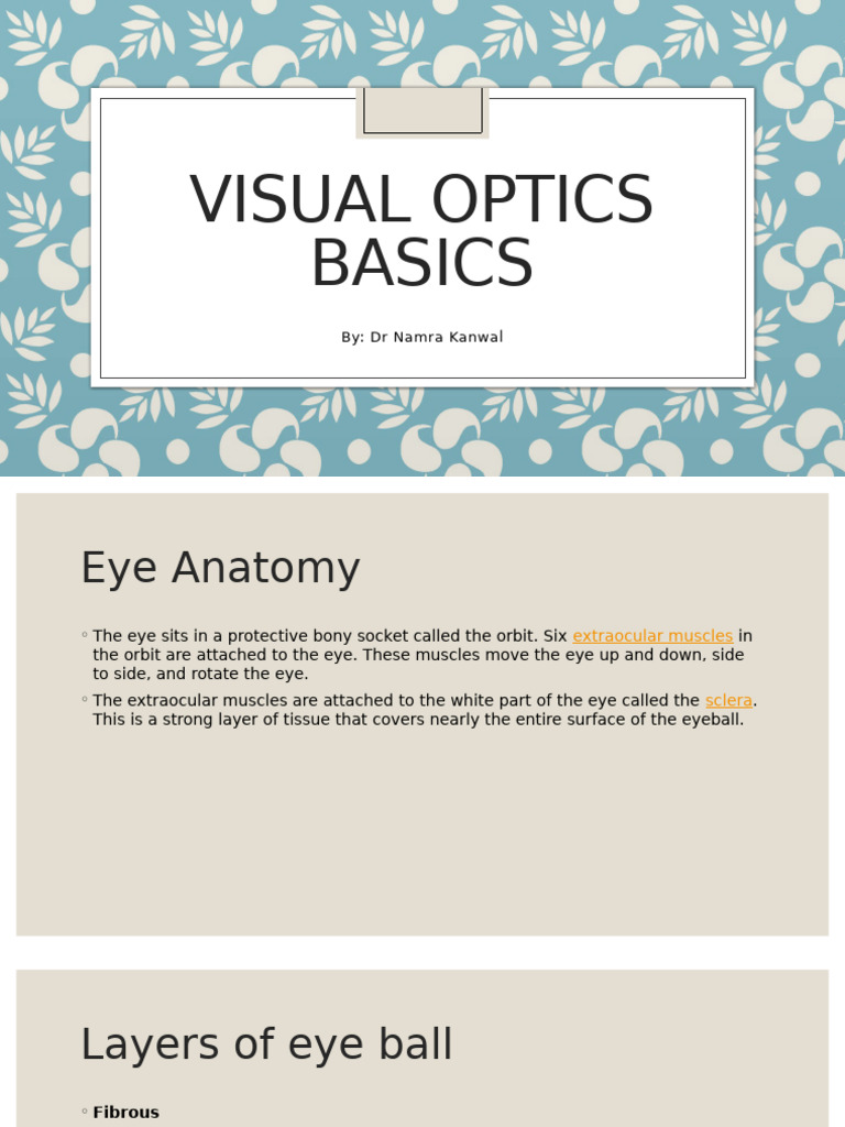 Visual Optics Basics | PDF