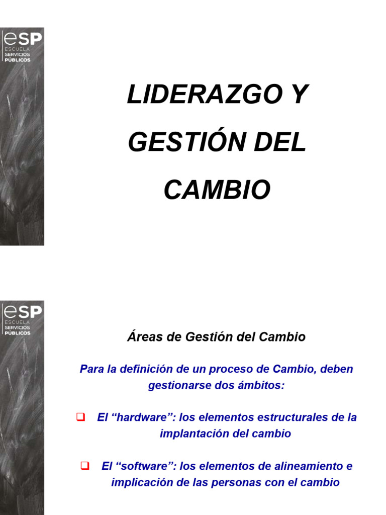 Liderazgo y Gestión Del Cambio | PDF