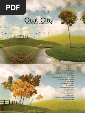 Owl City: All Things Bright & Beautiful | PDF | Leisure
