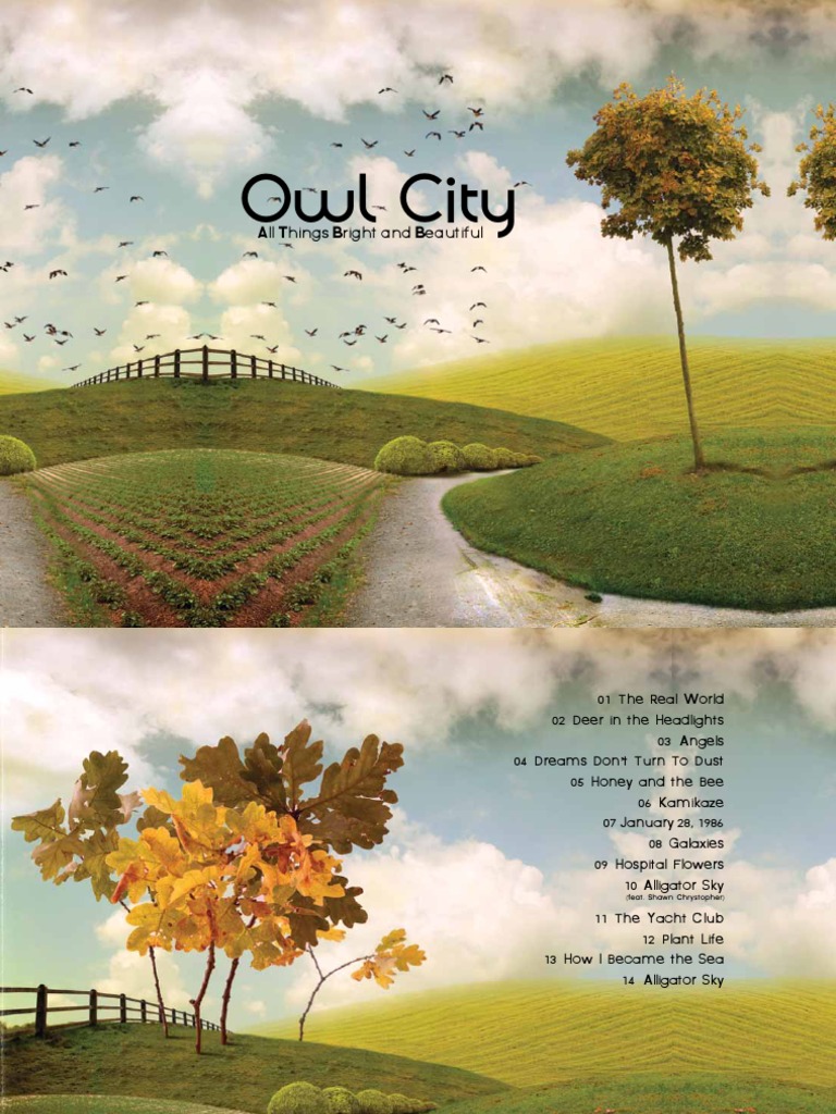 Owl City: All Things Bright & Beautiful | PDF | Leisure