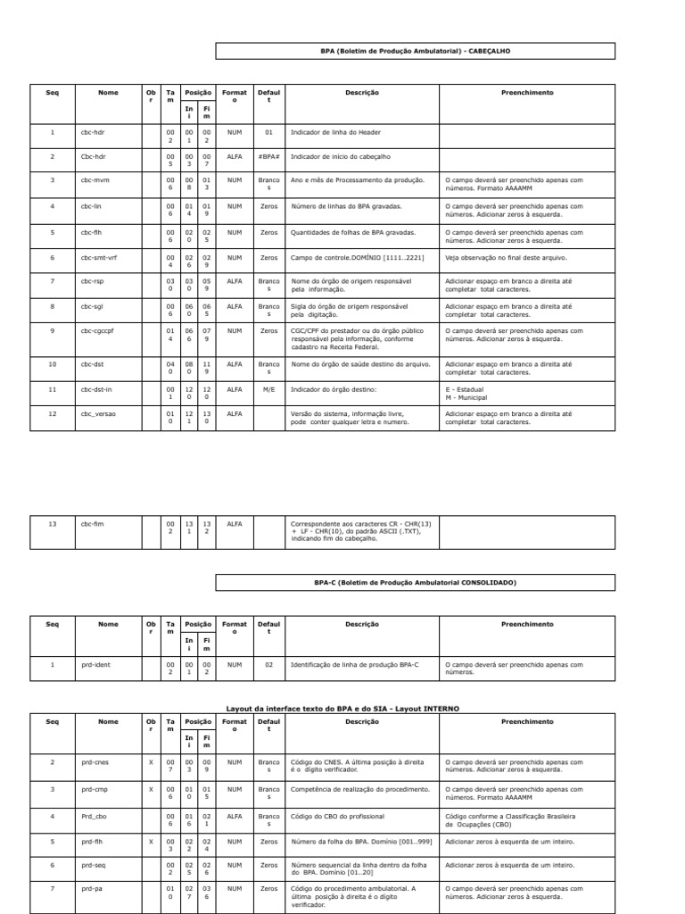 Layout Exportacao BPA | PDF