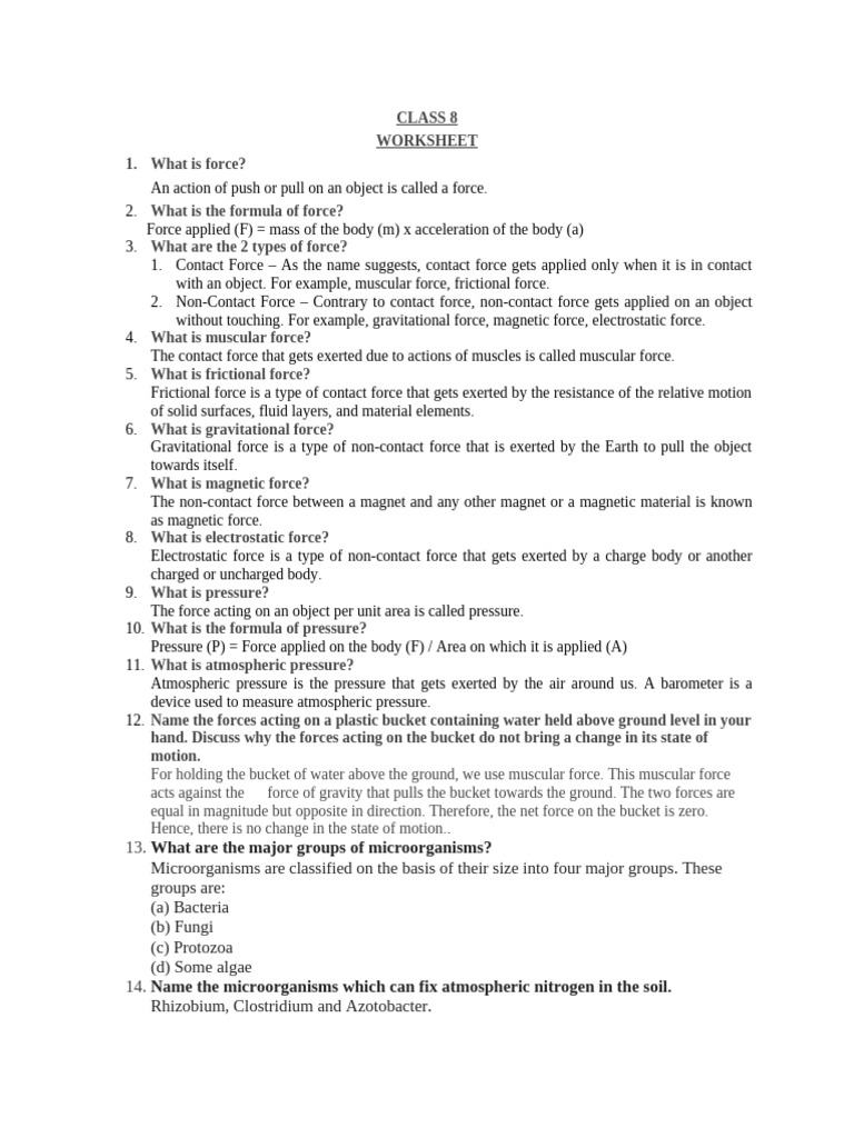 Worksheet Class 8 | PDF