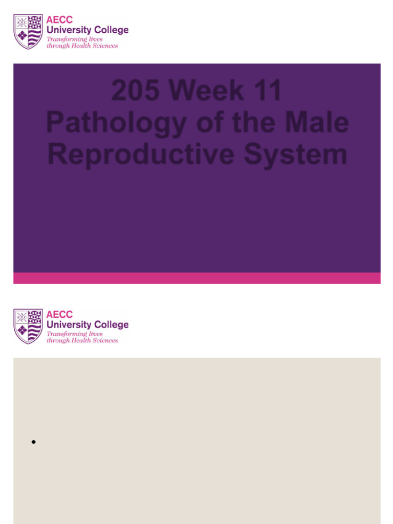 205 Week 11 Slides Recorded Lecture Pathology of The Male Reproductive ...