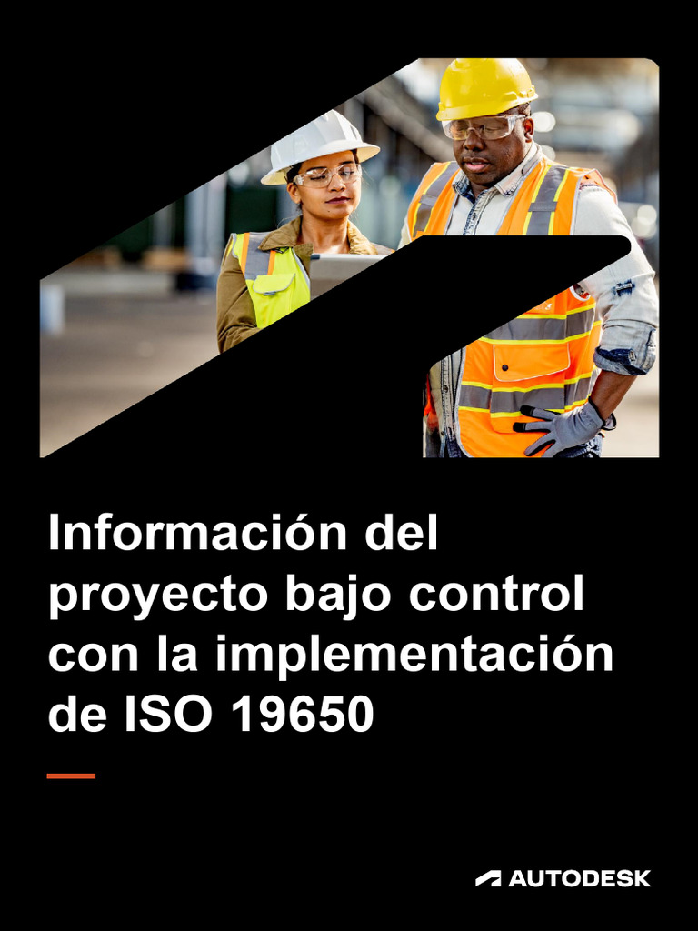 Common Data Environment Iso 19650 Ebook Es | PDF