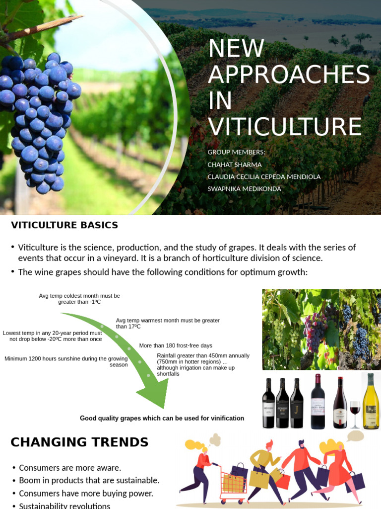 New Approaches To Viticulture | PDF