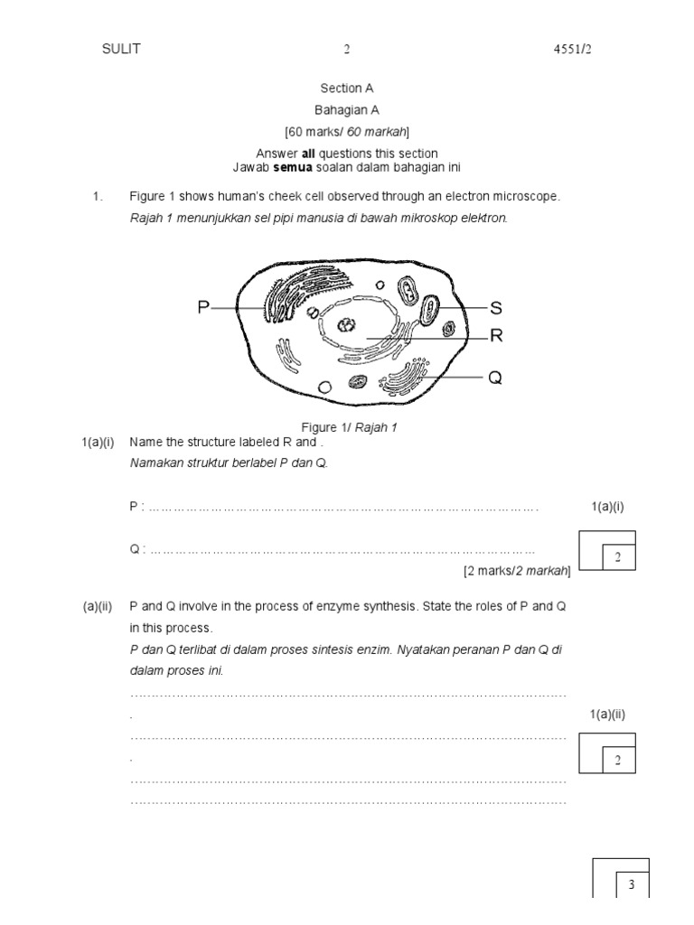 Paper2 Question