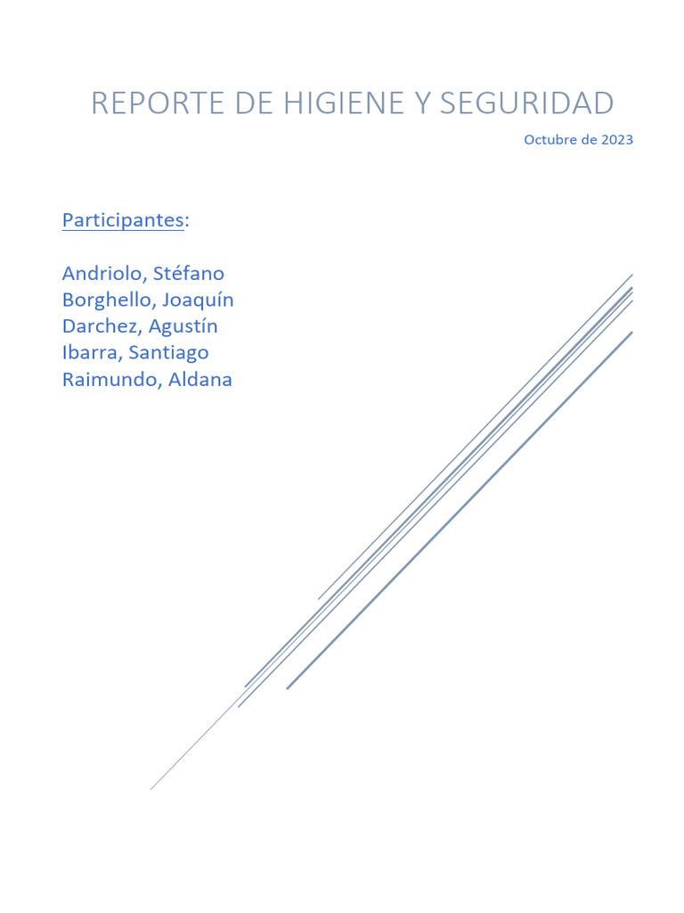 Reporte de Higiene y Seguridad | PDF