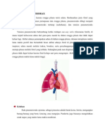 Pneumothoraks