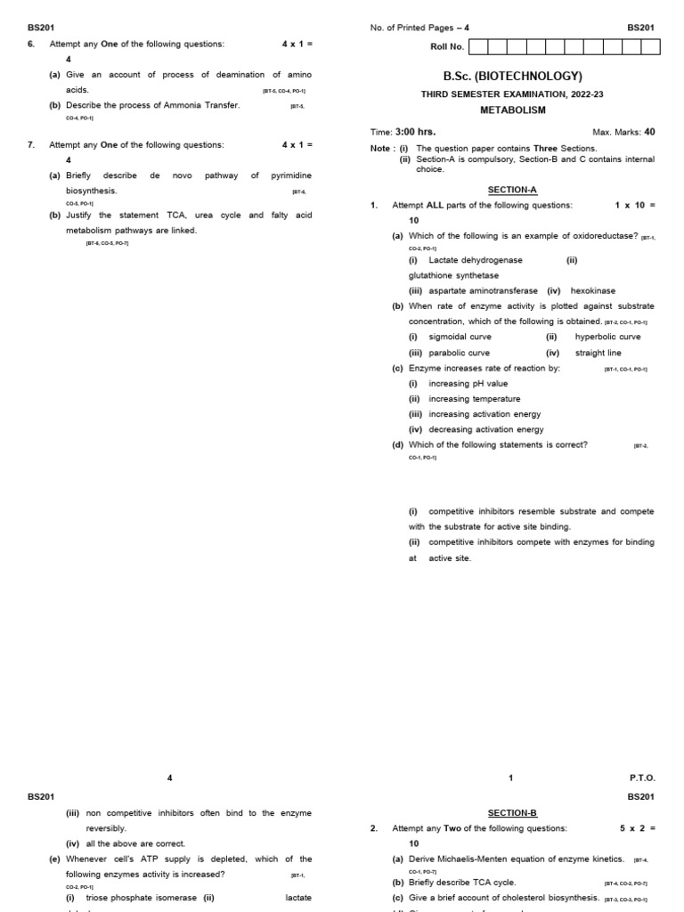BS201 Final | PDF