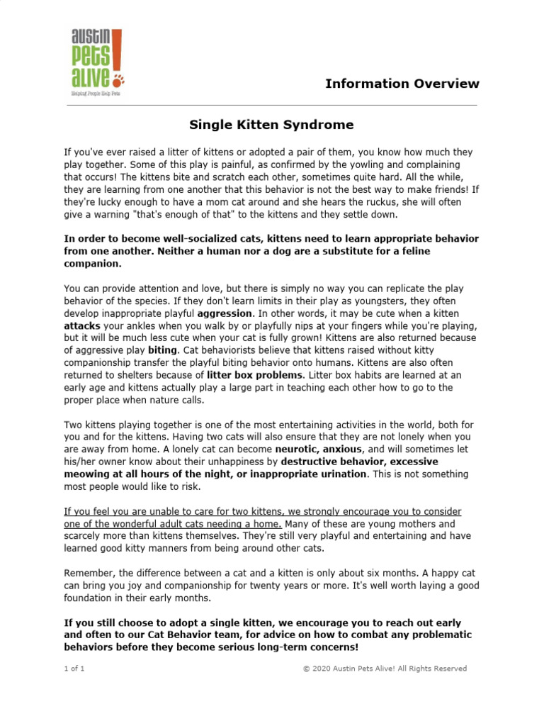 Single Kitten Syndrome Explanation | PDF