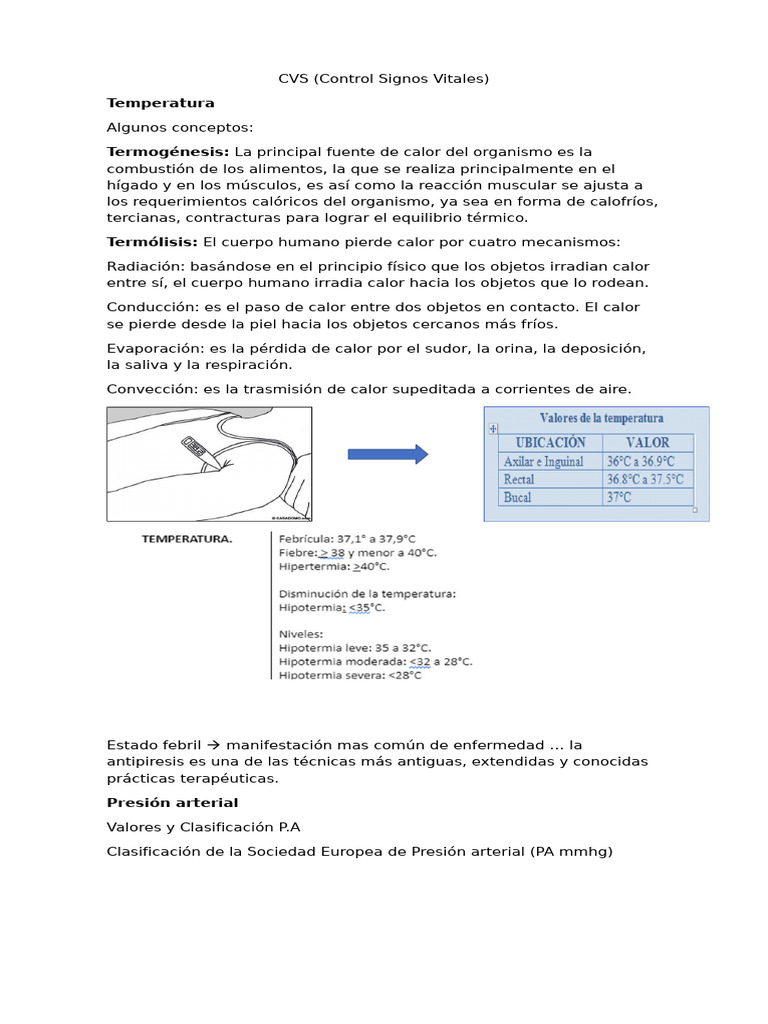 CVS 2 | PDF