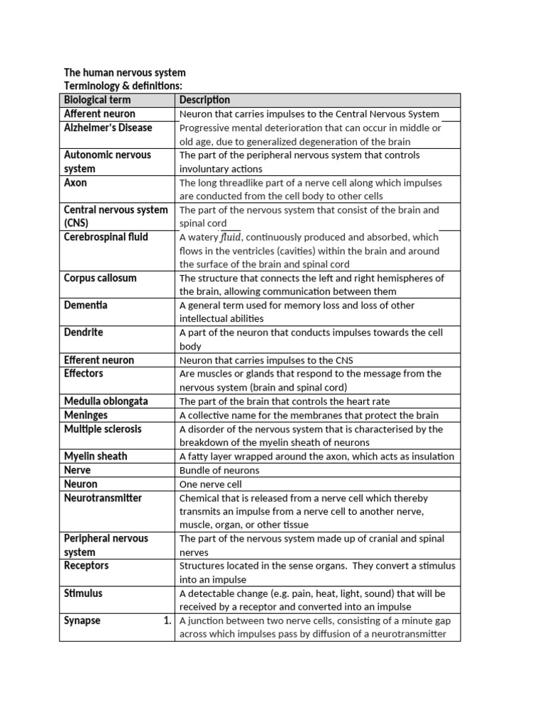 term-list-the-human-nervous-system-pdf
