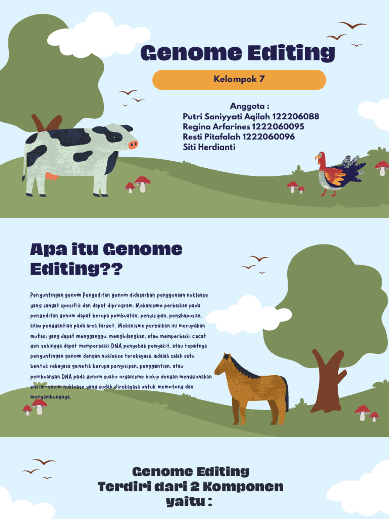 Genome Editing | PDF