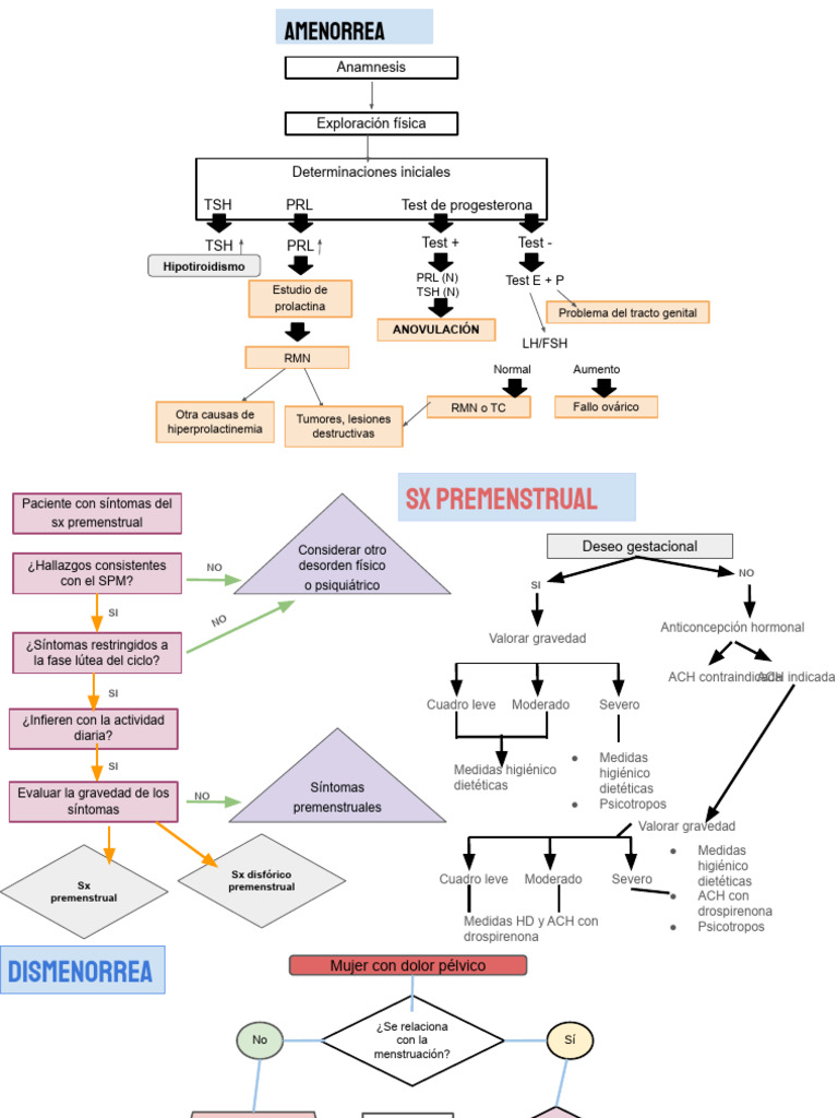 Algoritmo Diagnostico de Amenorrea | PDF