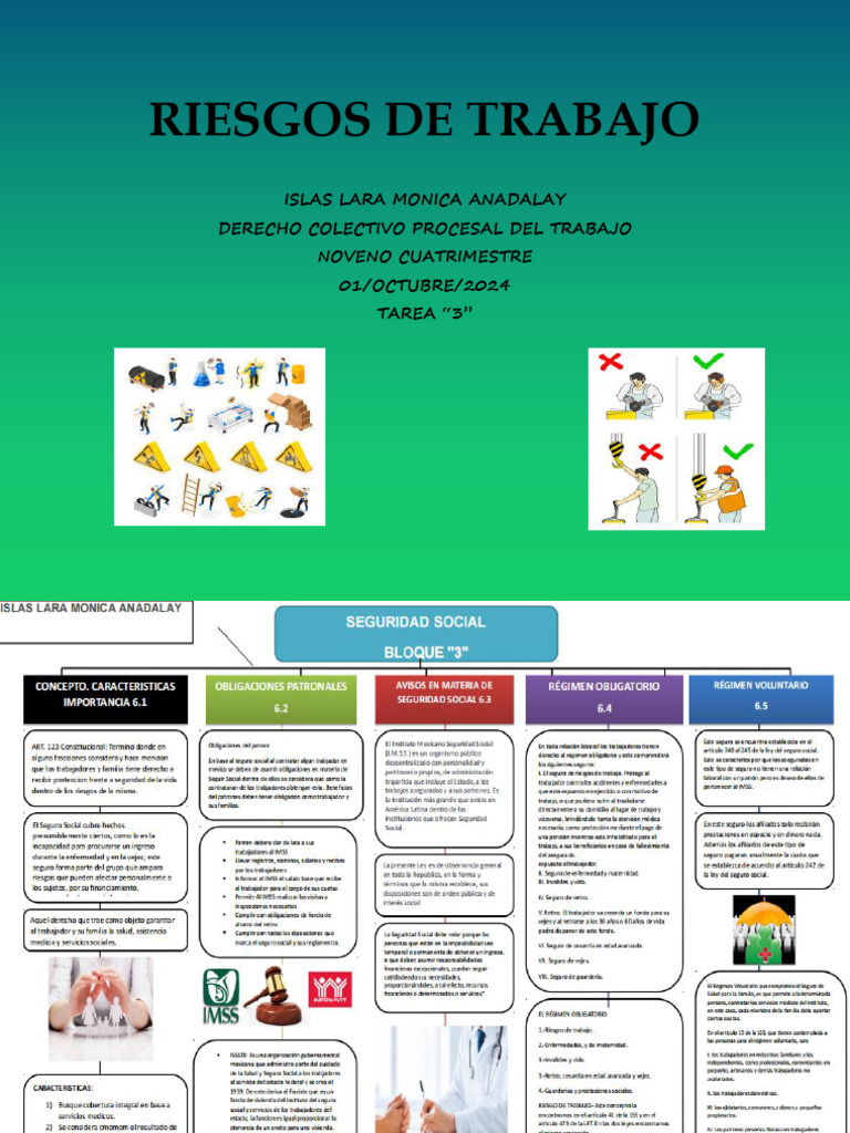 Lara Monica Riesgos De Trabajo PDF