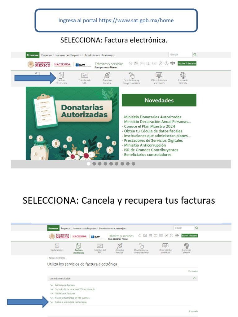 Descarga de Recibos de Nomina SAT. | PDF