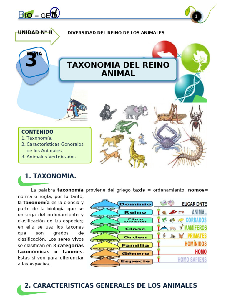 6° 2 Taxonomia de Los Animales | PDF