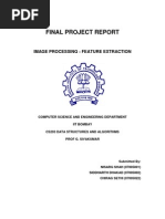 Final Project Report