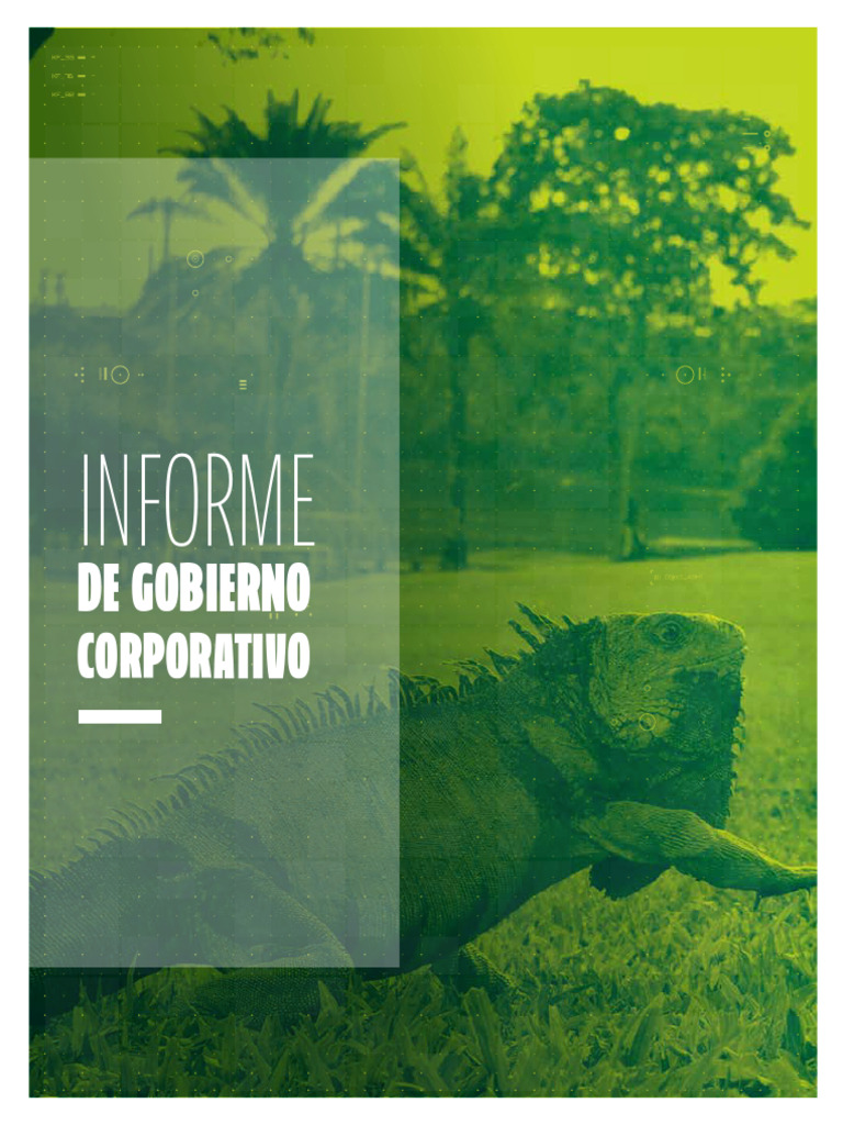 CGOB Informe Anual de Gobierno Corporativo VF | PDF | Corporaciones ...