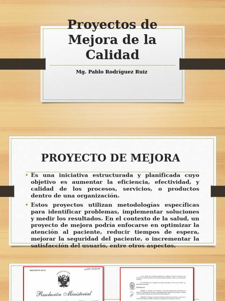 Proyectos de Mejora de La Calidad .... | PDF