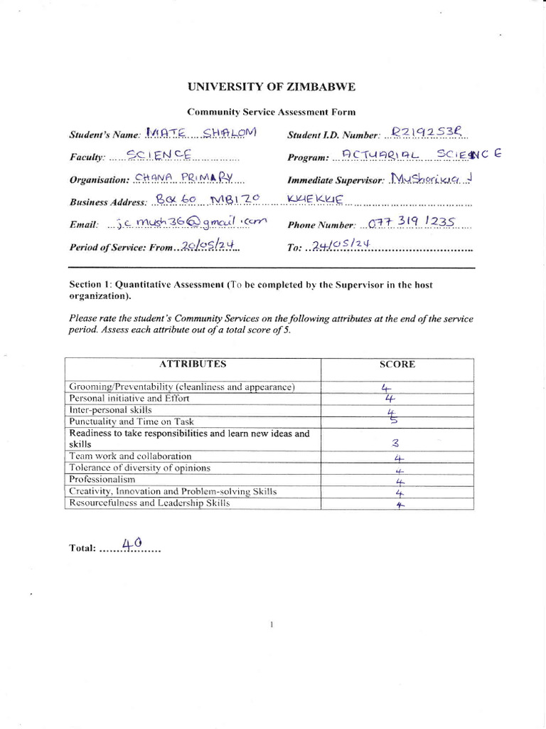 My Community Service Assessment | PDF