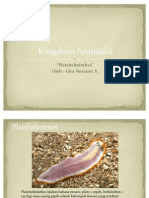 Kingdom Animalia