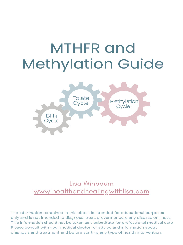 Free MTHFR Guide New 29 Aug 2024 2 | PDF
