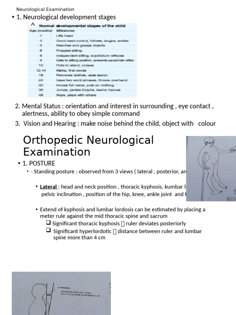 PF CP 2 | PDF