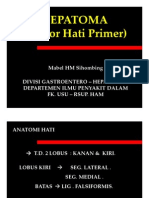 Gis156 Slide Hepatomia-1