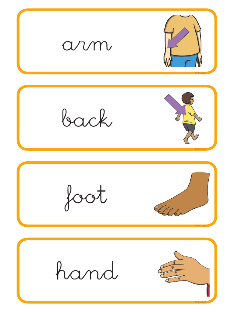 Tarjetas de Vocabulario Las Partes Del Cuerpo en Ingles Ver 1 PDF