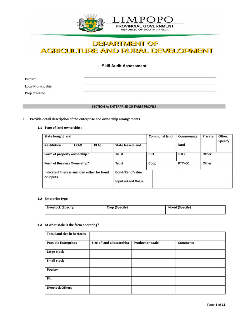 Updated Skills Audit Tool Pdf