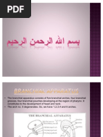 Download Branchial Apparatus by Fazira Ekma SN77541617 doc pdf