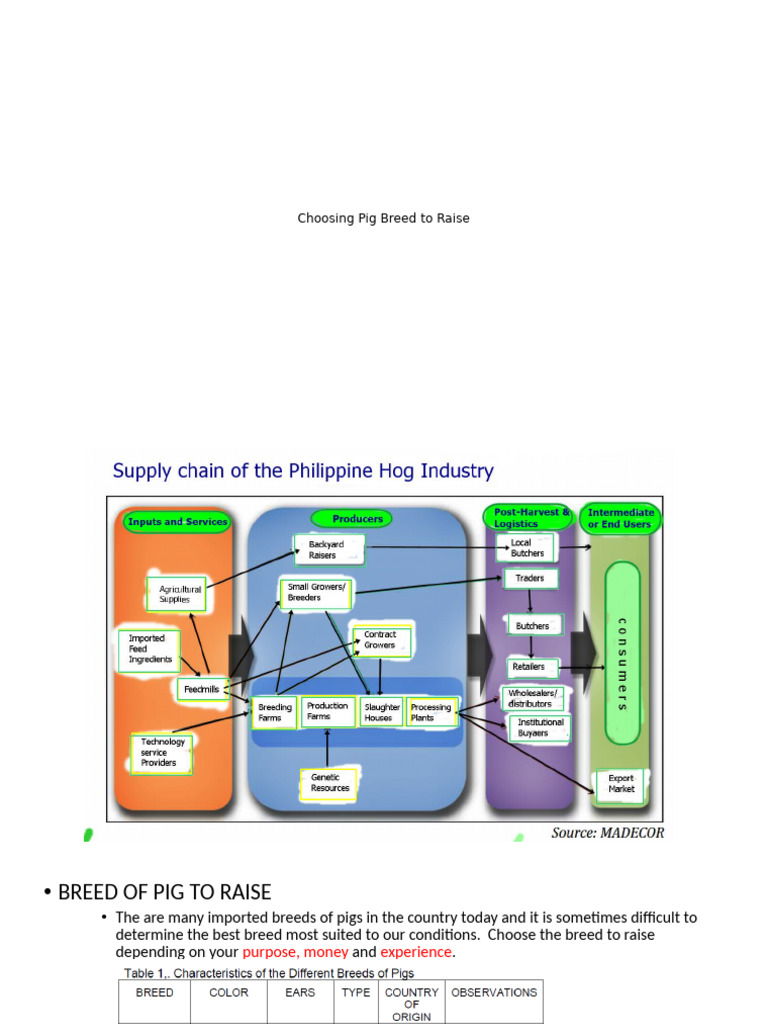 Lecture Outline 3 Swine Prodn - Choosing Breed To Raise | PDF | Pig ...