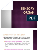 Sensory Organ