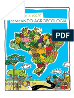 Cartilha Do Produtor: A Cidade e A Roça, Semeando Agroecologia