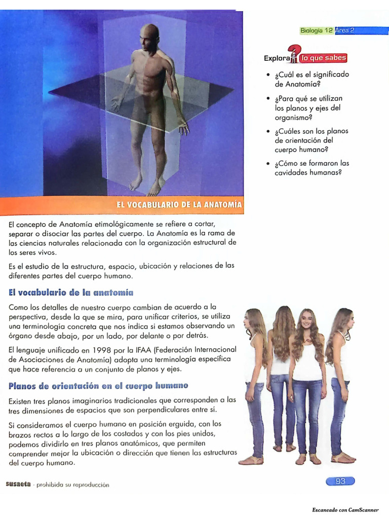 Tema #5 Estructura Del Cuerpo Humano | PDF